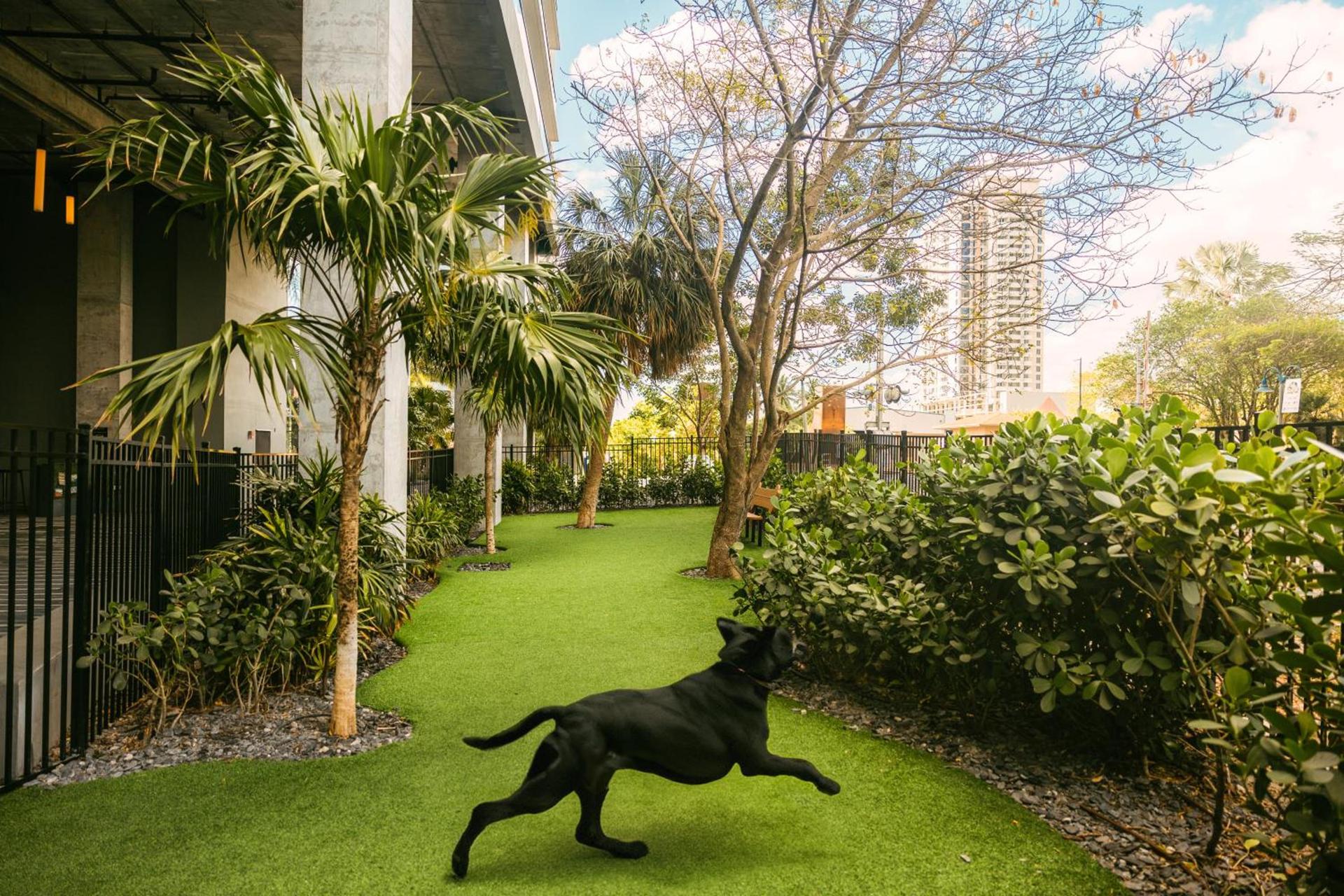 Flow Hotel Fort Lauderdale photo 18