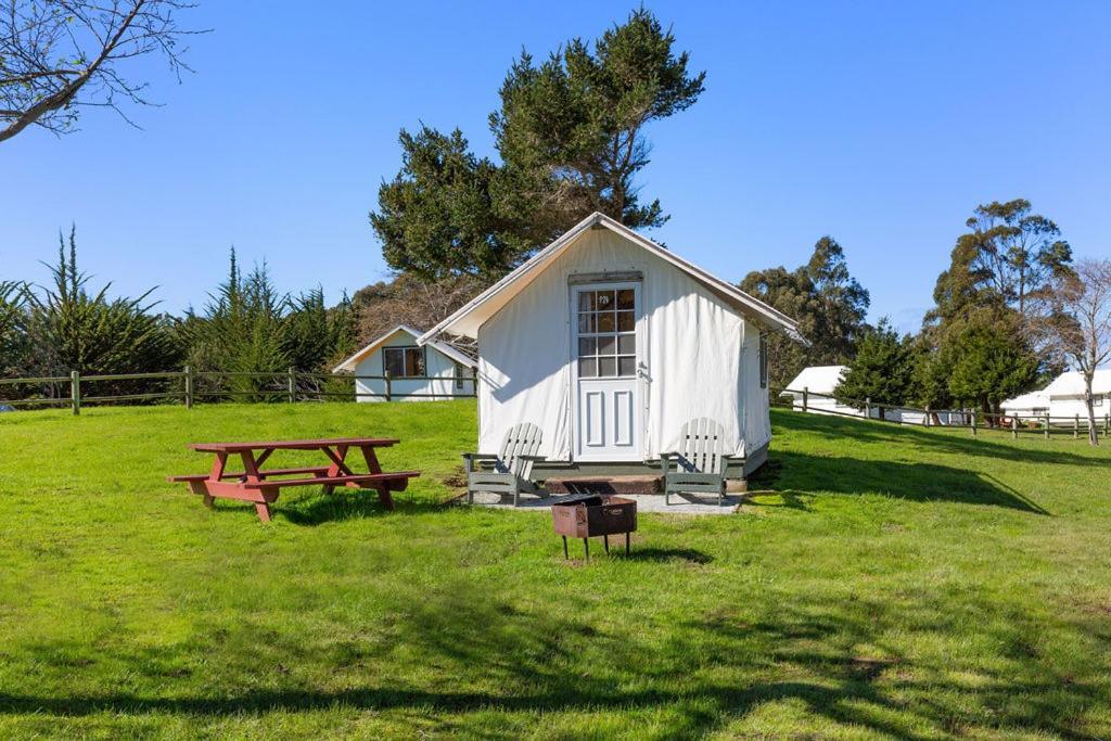Costanoa photo 6