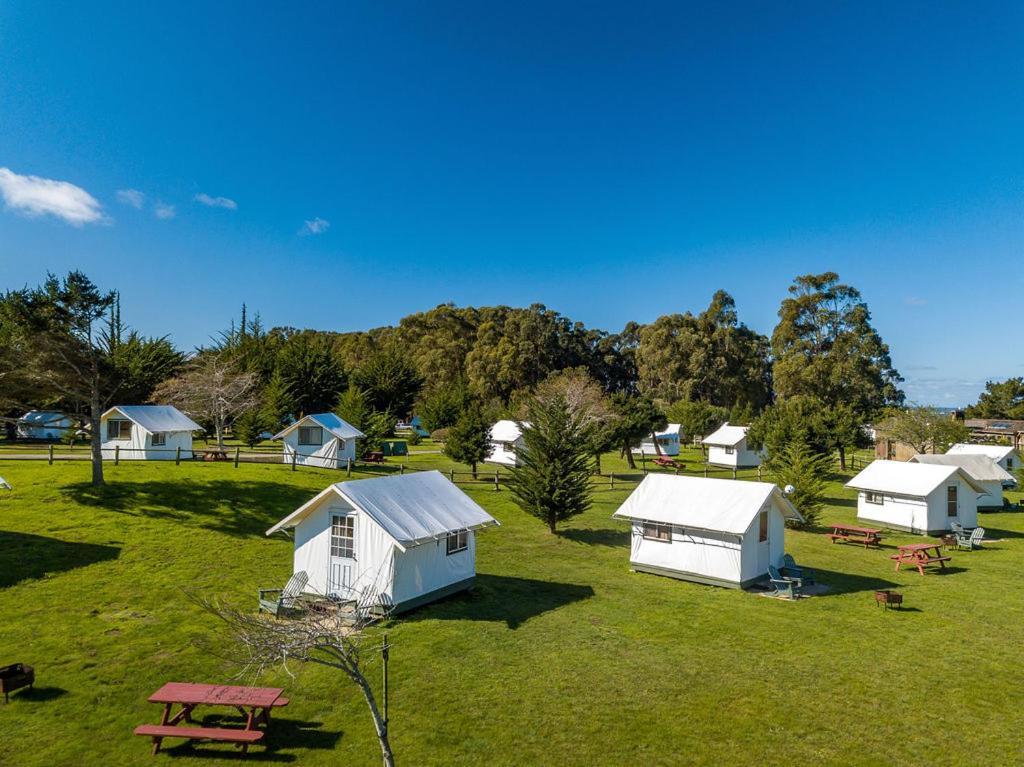 Costanoa photo 11