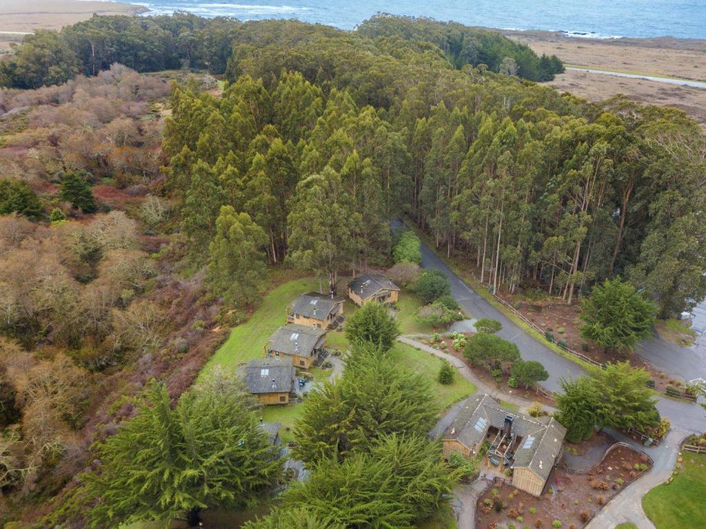 Costanoa photo 2