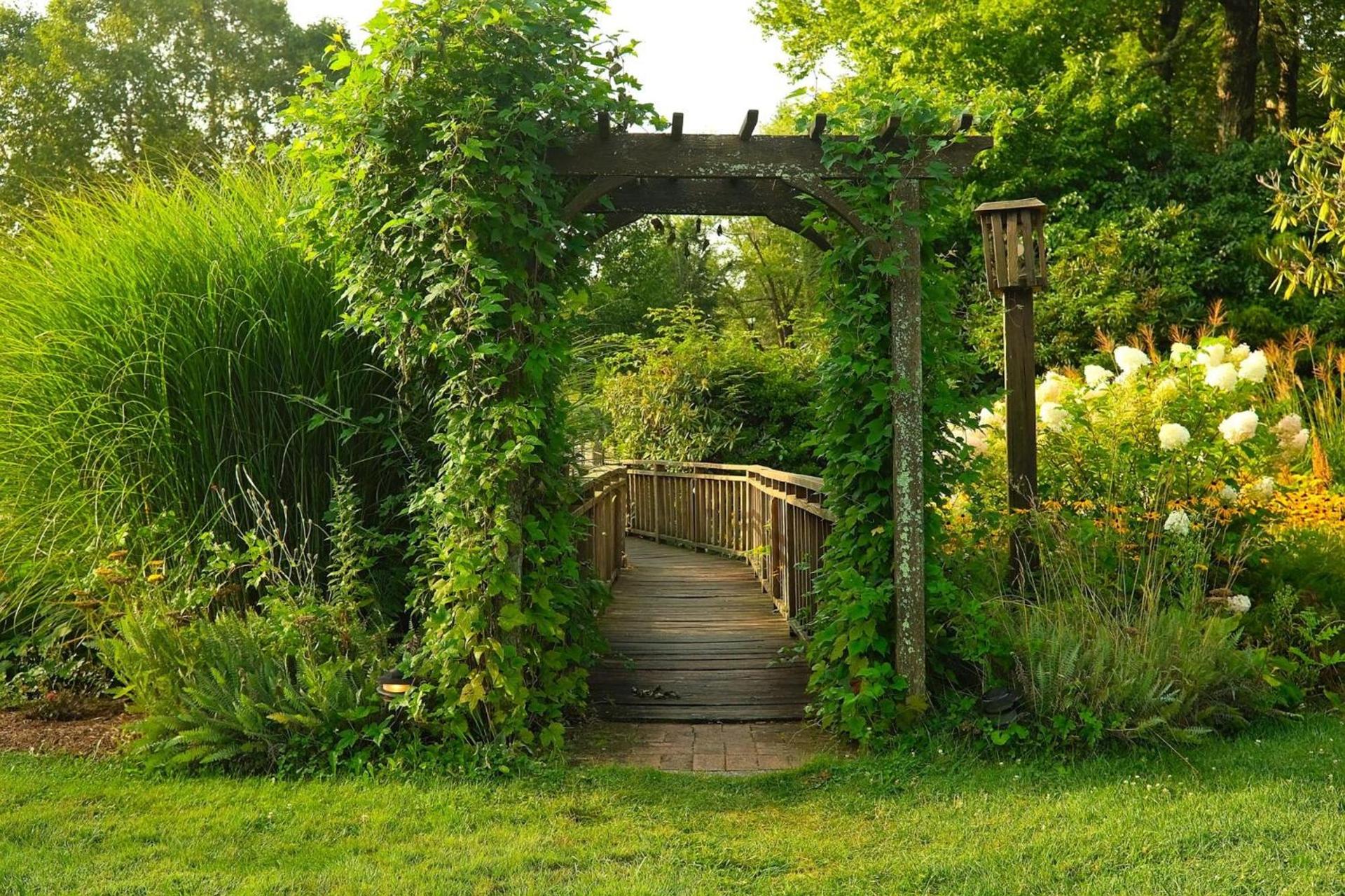 Azalea Garden Inn photo 21
