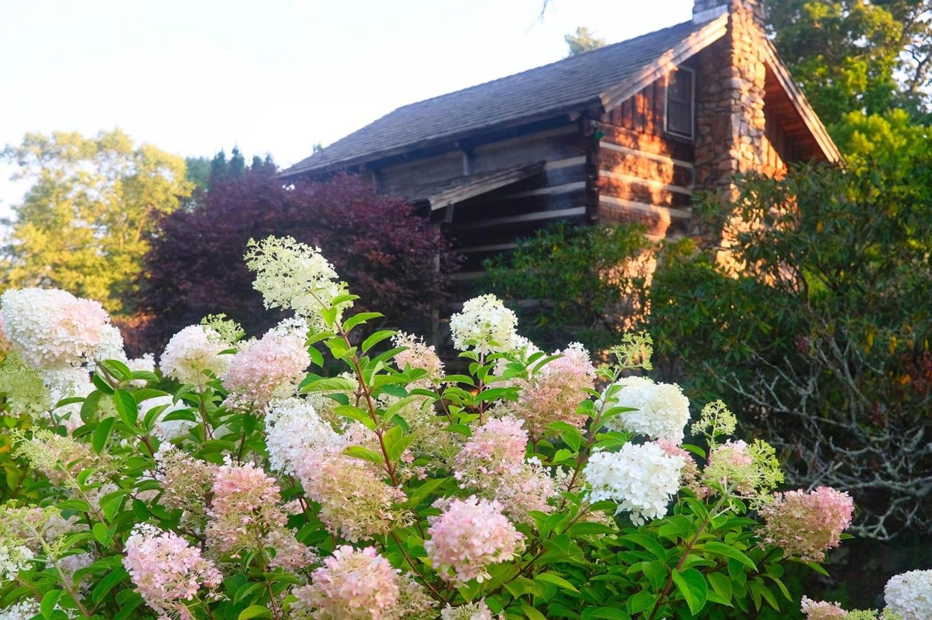 Azalea Garden Inn photo 16