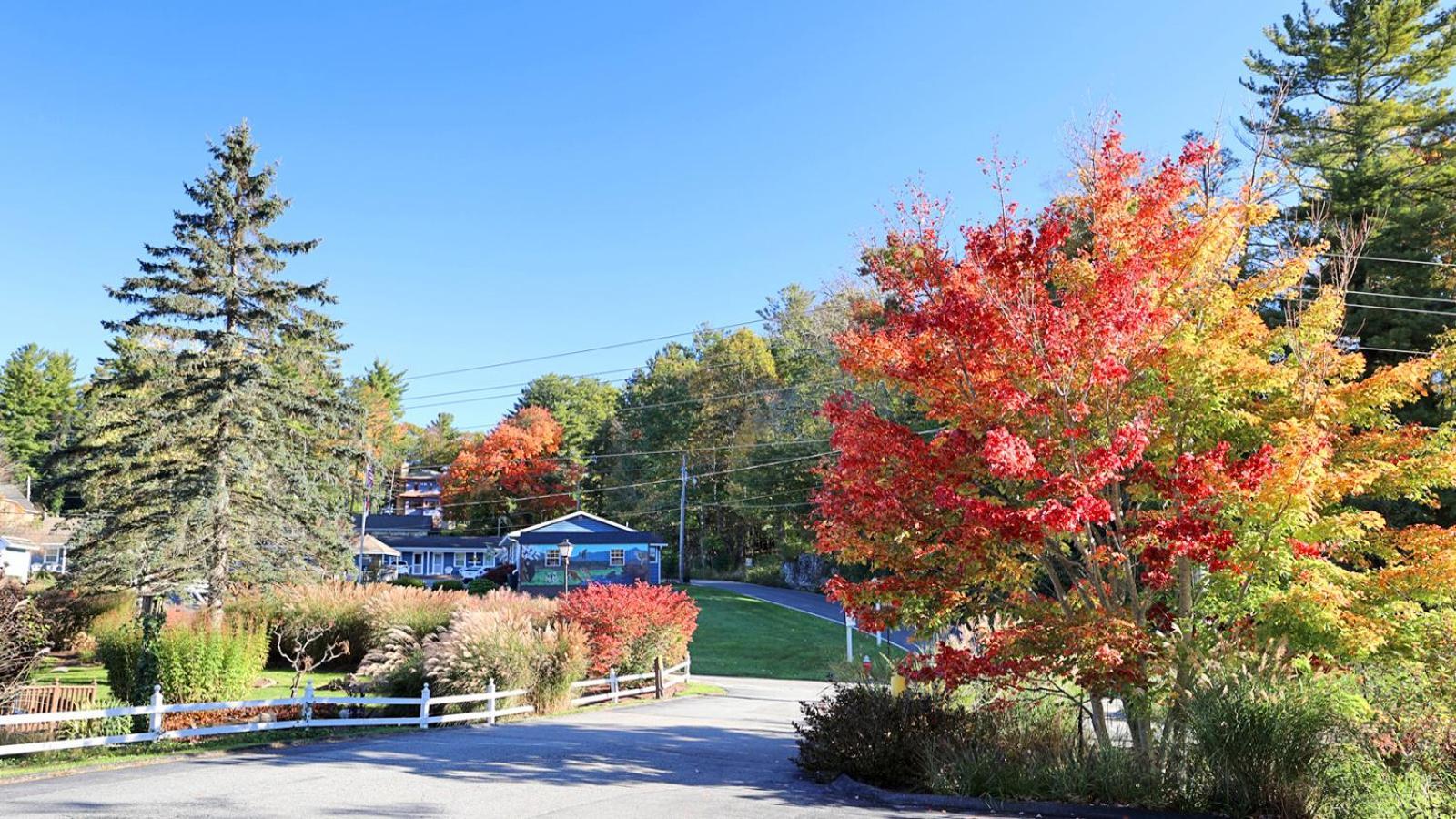 Blowing Rock Inn photo 40