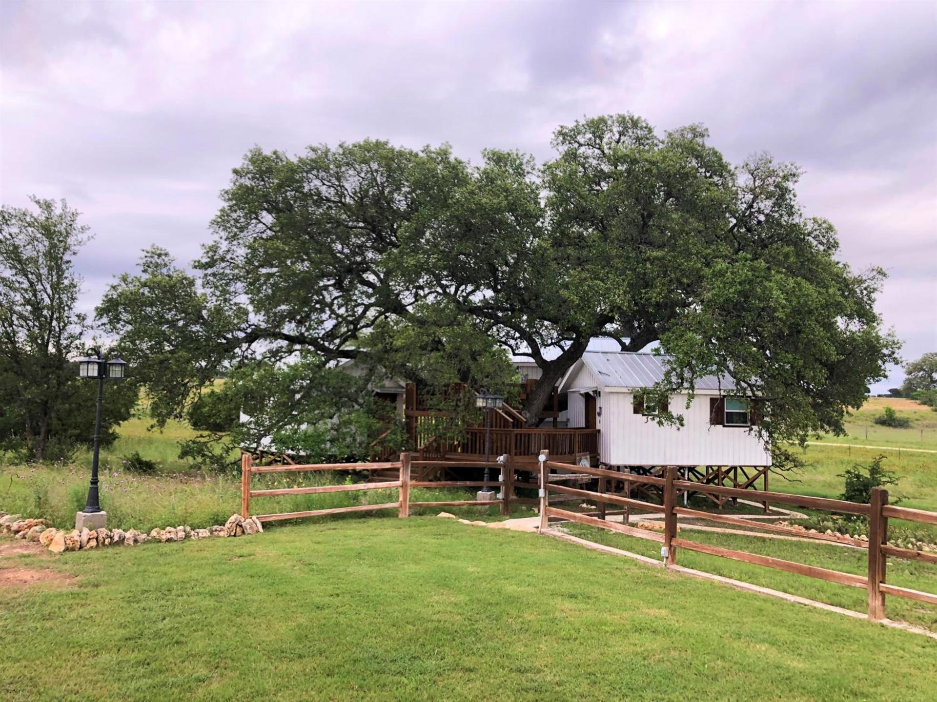 The Alexander at Creek Road photo 57