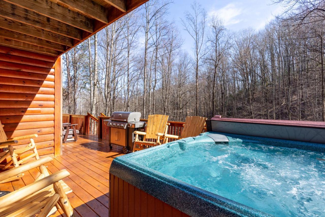 Luxury Mountain Lodge Hot Tub Theater Sauna Games photo 5