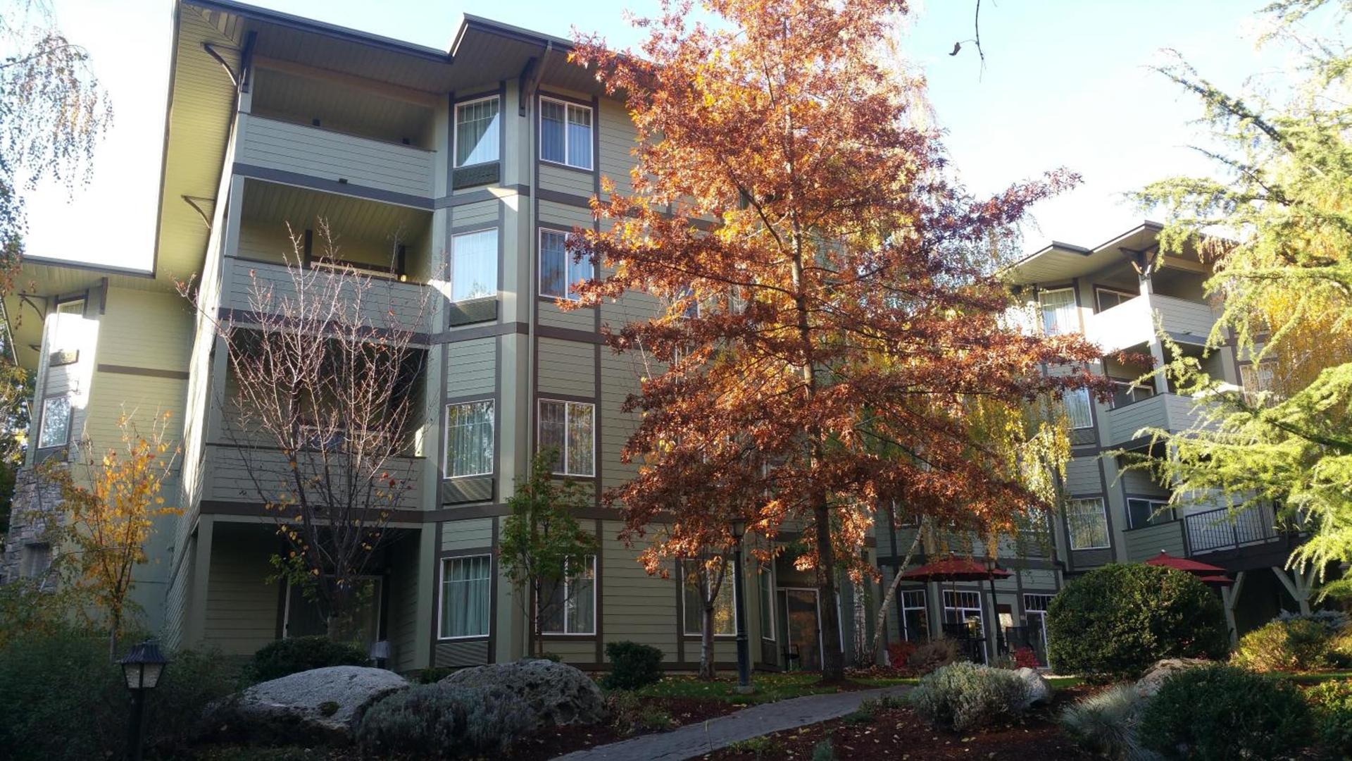Plaza Inn & Suites at Ashland Creek photo 9