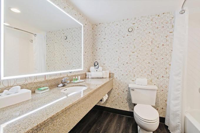 Holiday Inn Chicago Nw Crystal Lk Conv Ctr by IHG photo 61