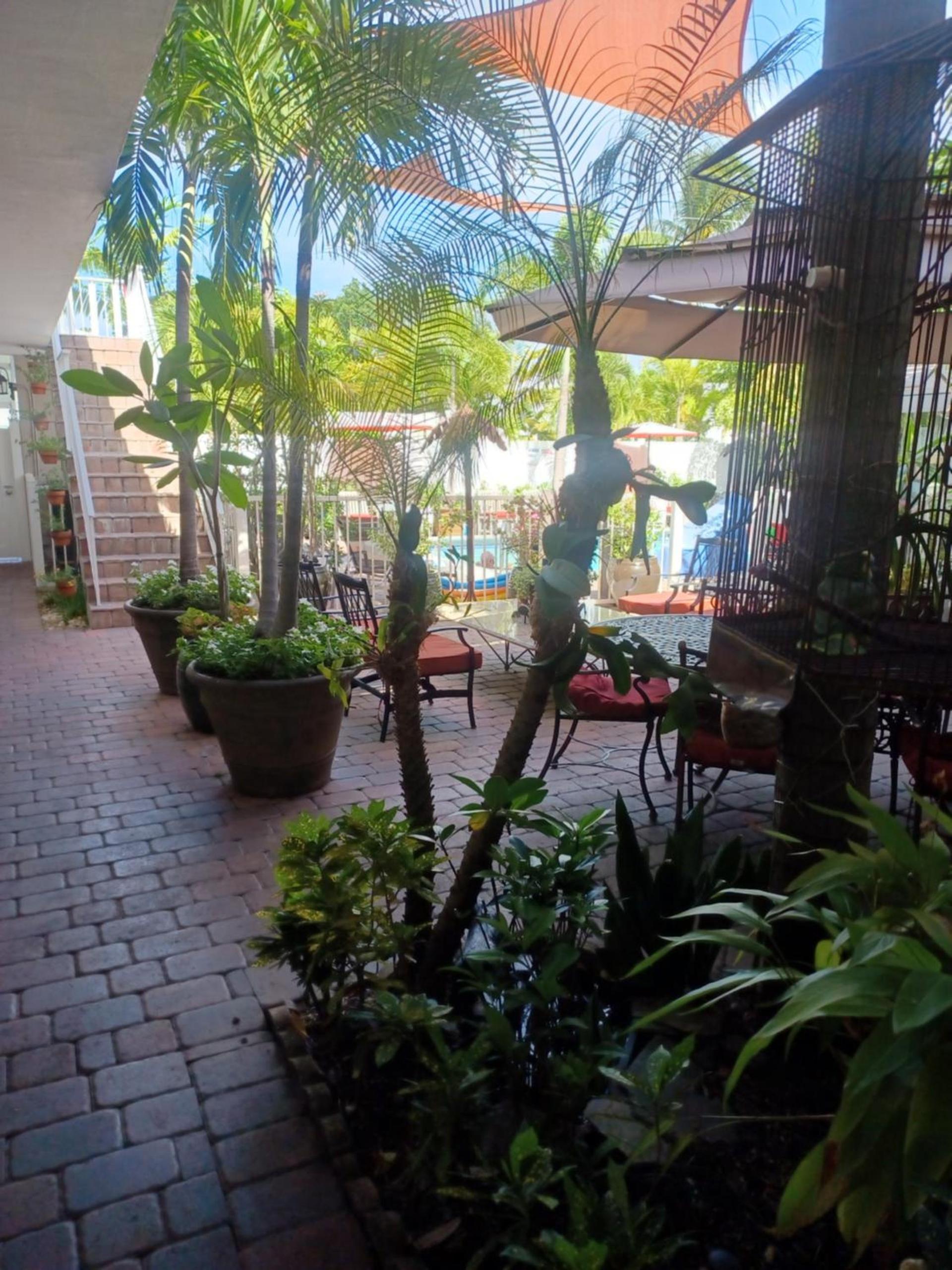 The Big Coconut Guesthouse - Gay Men's Resort photo 20