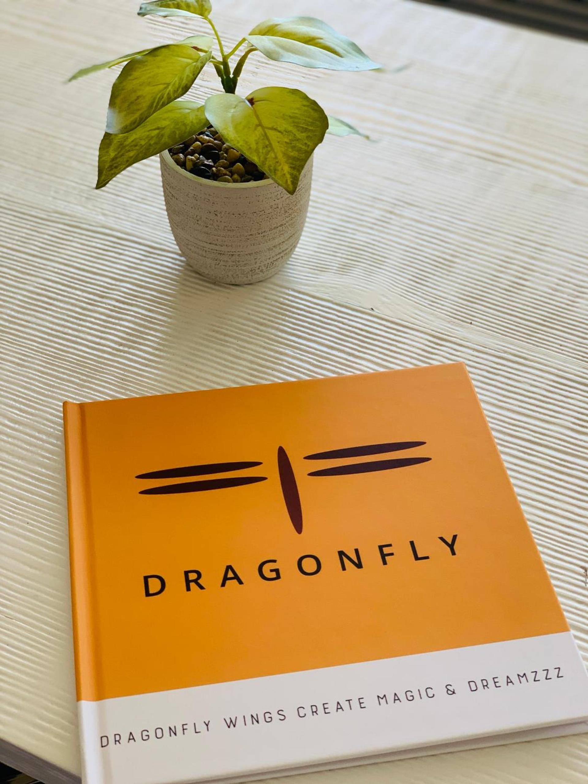 Dragonfly Motor Lodge photo 74