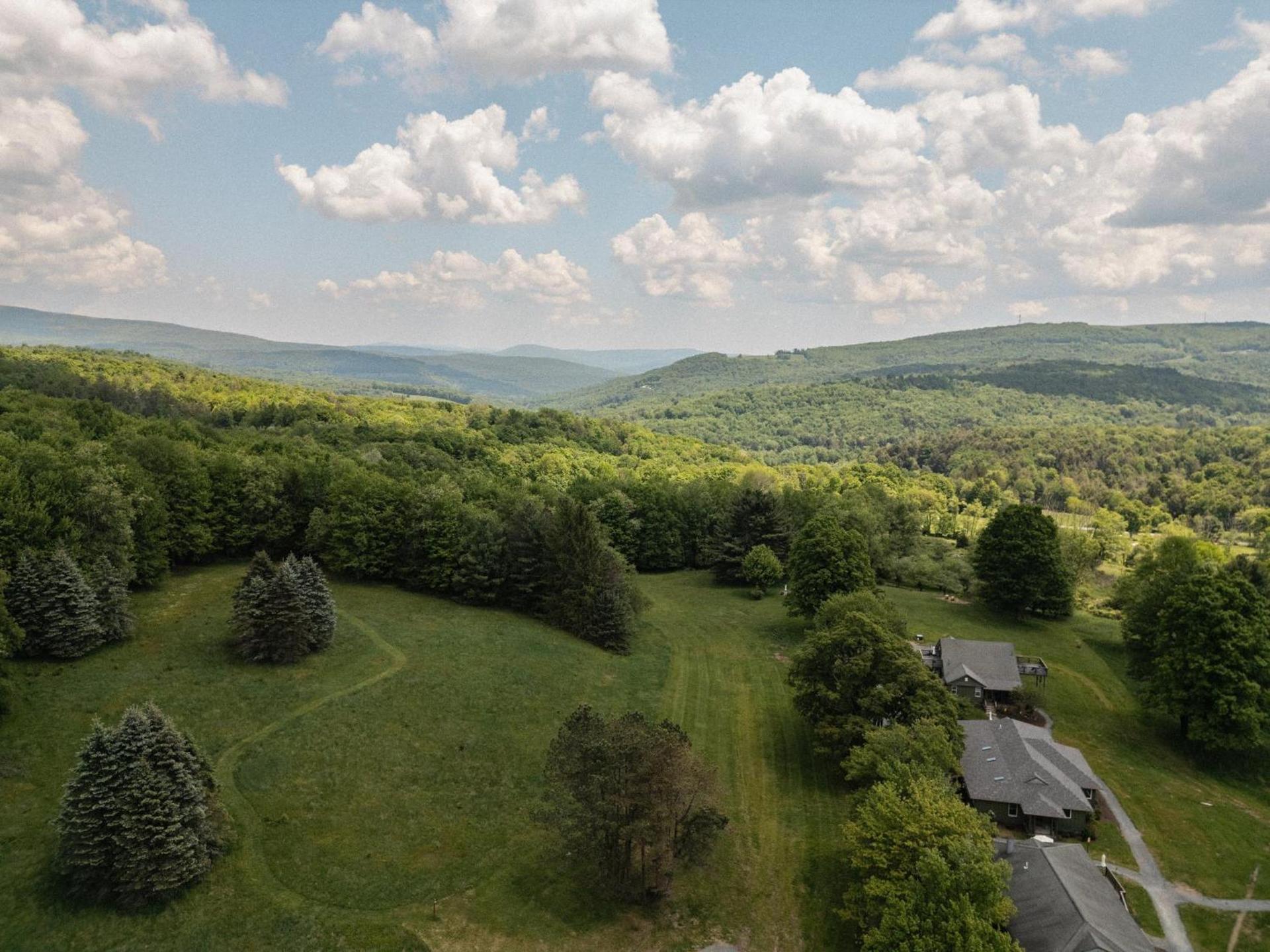 Hemlock Neversink photo 3
