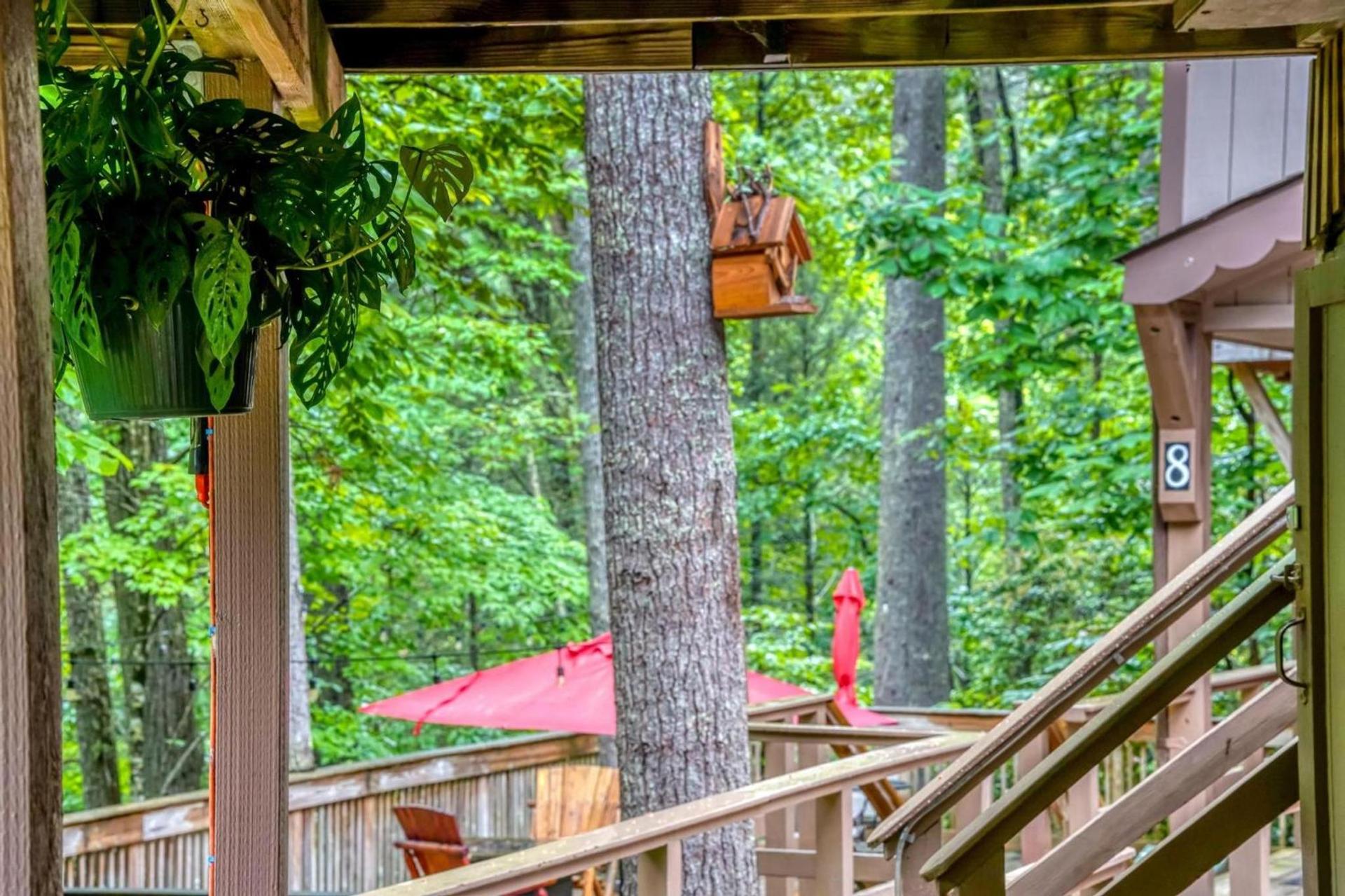 Cascades Inn photo 39