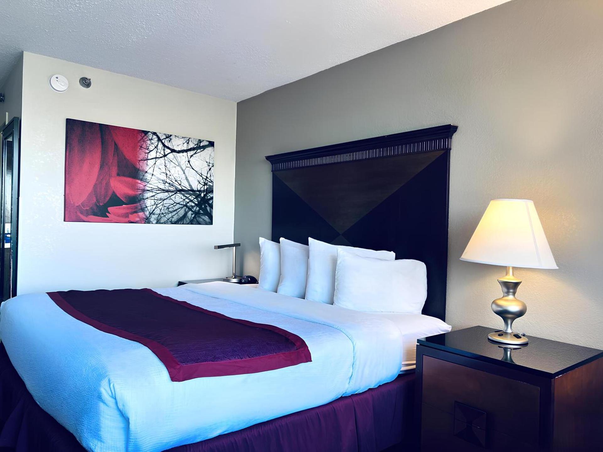 Indy Hotel photo 4
