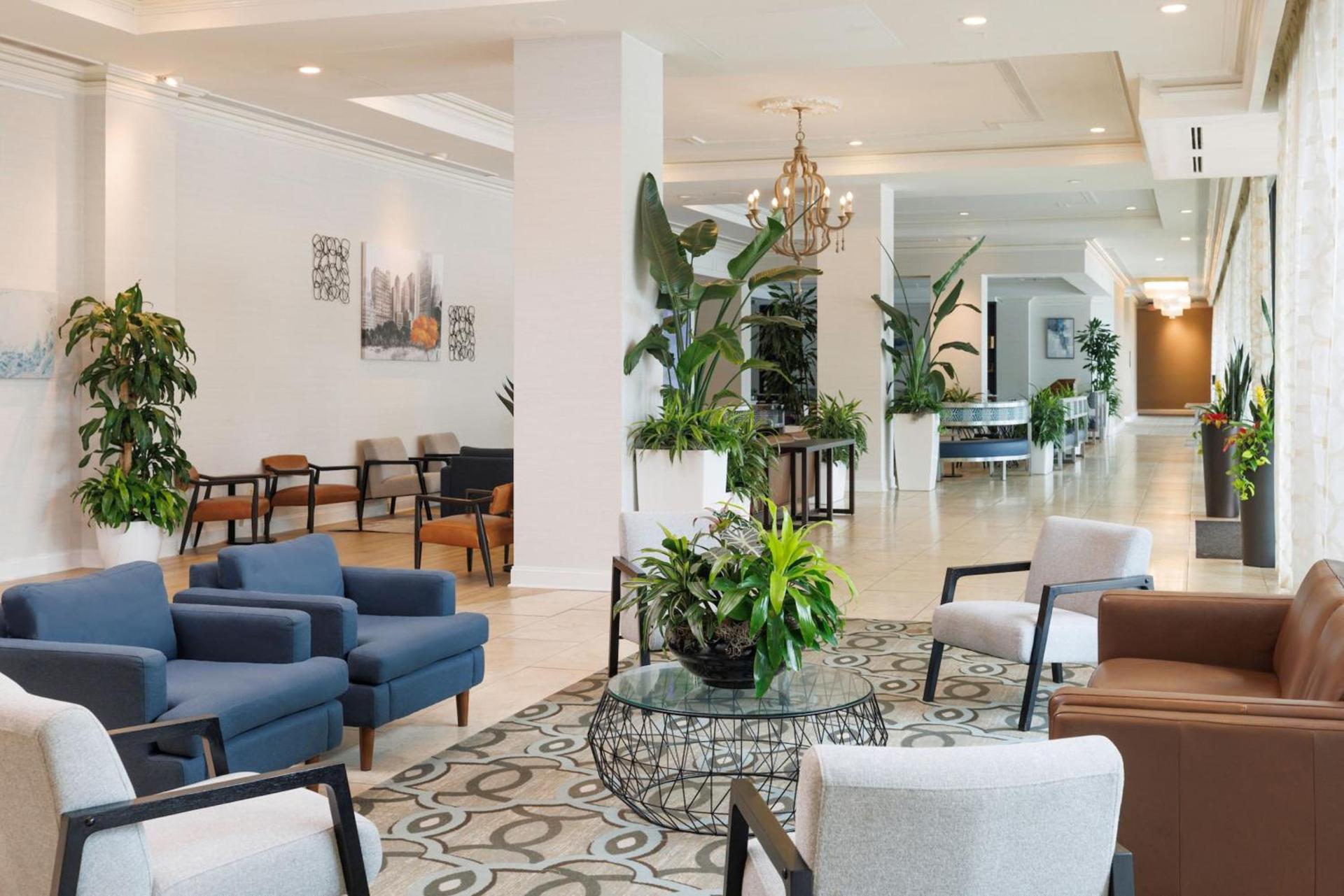 Hilton Greenville photo 51