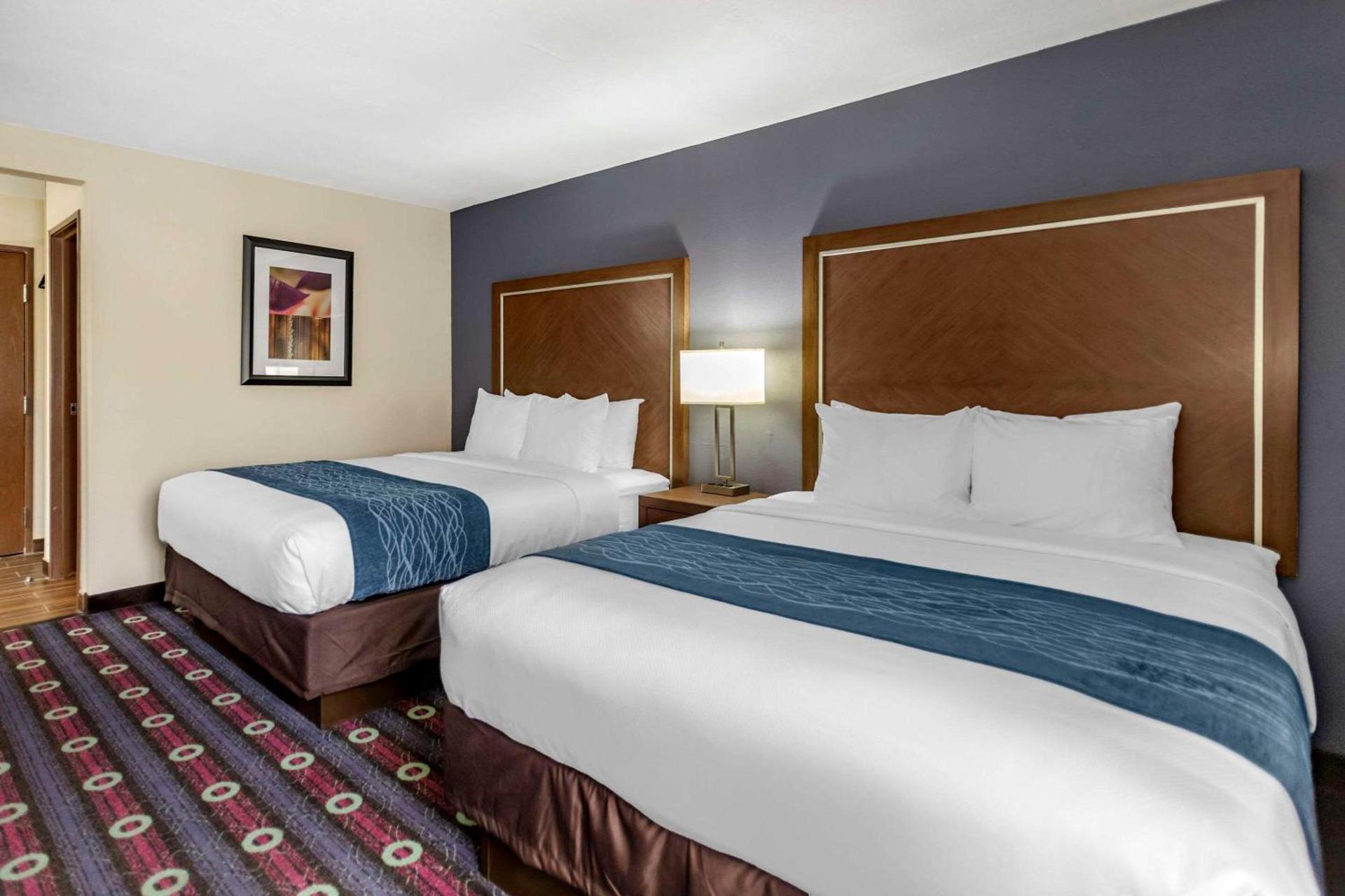 Comfort Inn Tulsa Midtown photo 10