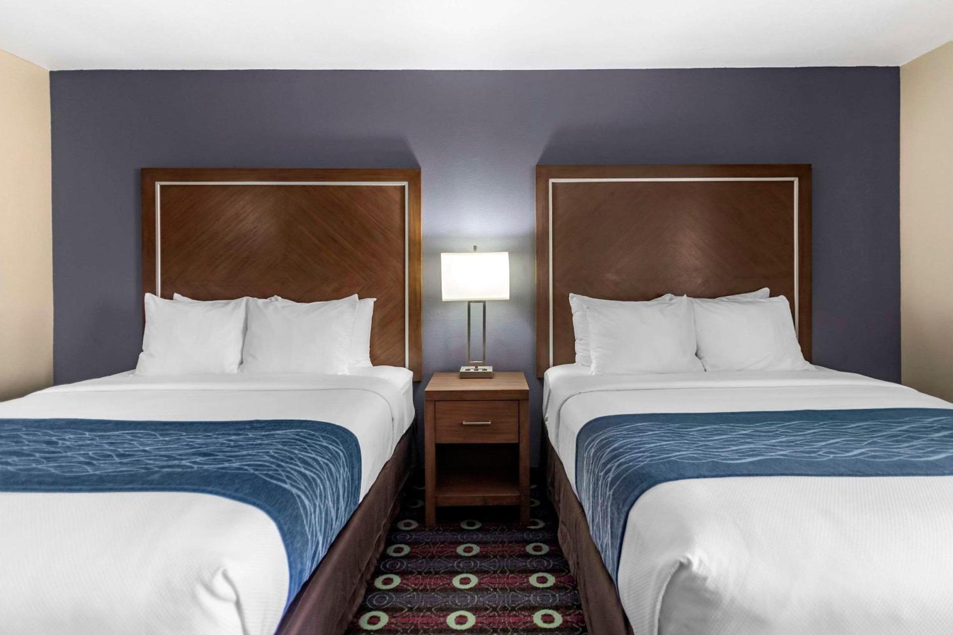 Comfort Inn Tulsa Midtown photo 12