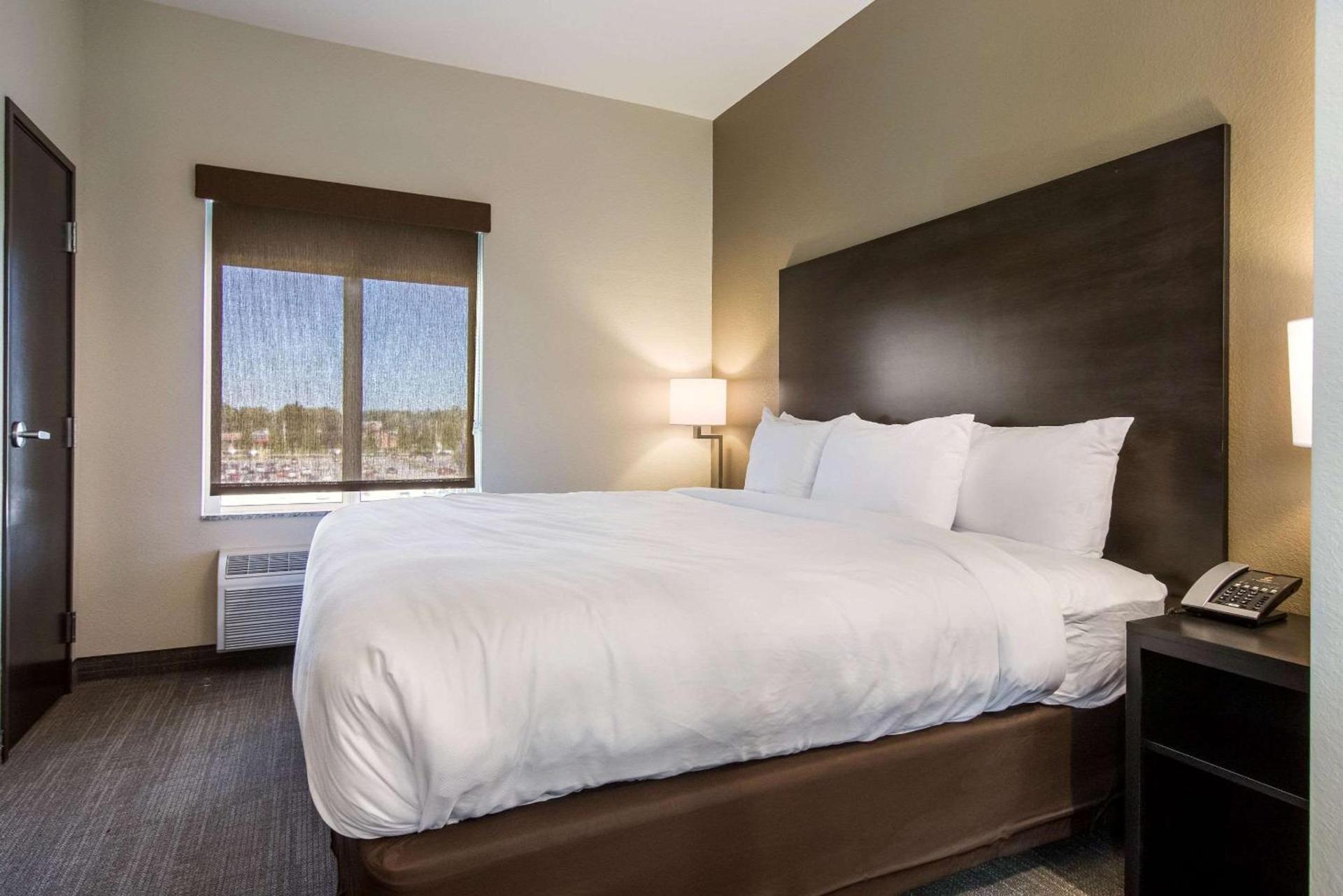 Comfort Suites Brunswick Town Center photo 16