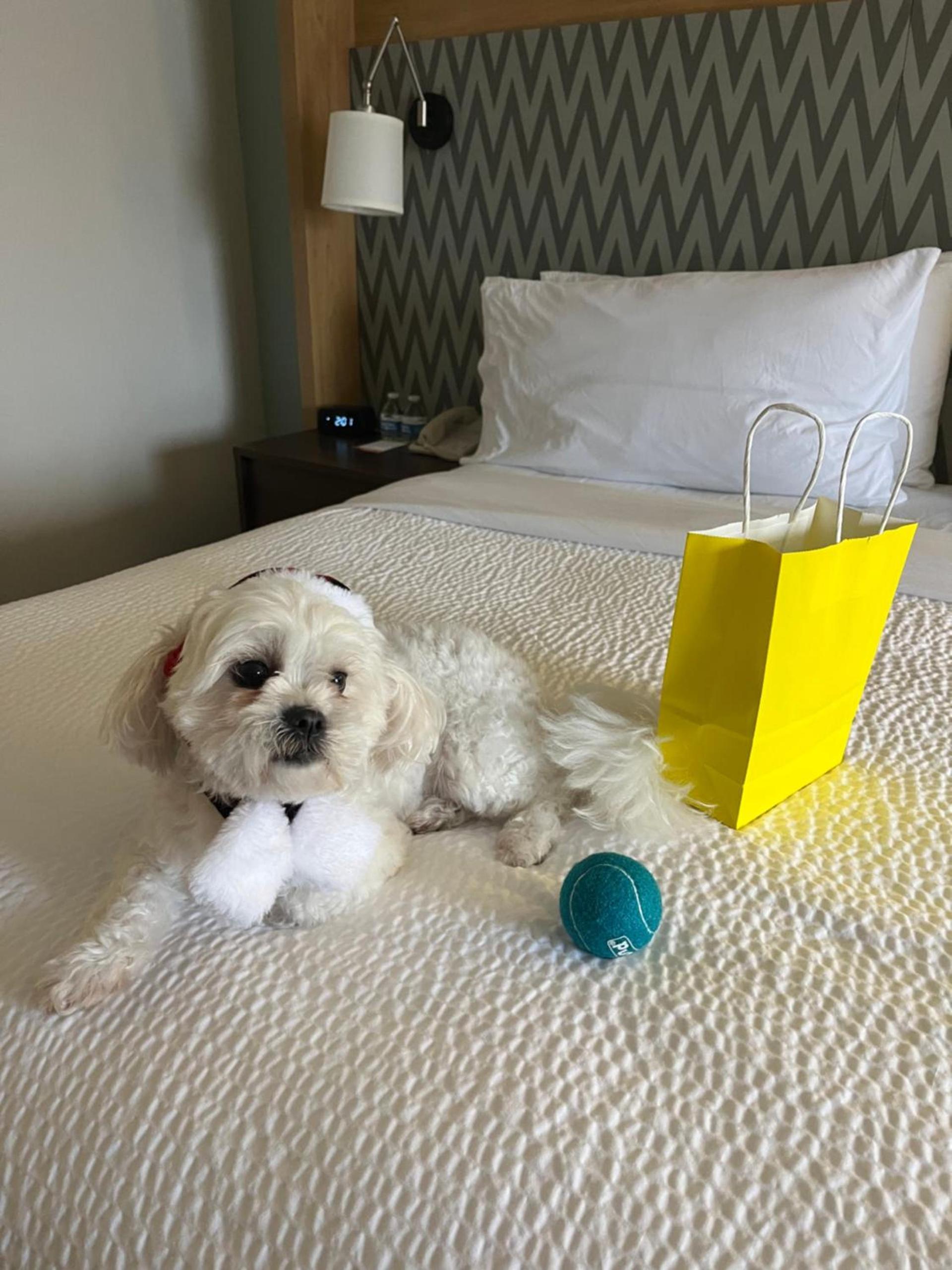 Holiday Inn Orlando International Airport by IHG photo 16