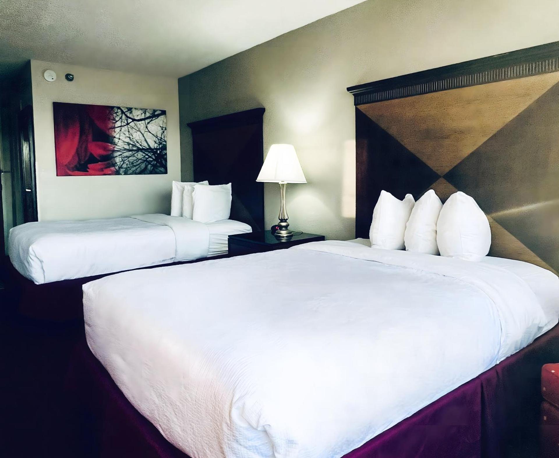 Indy Hotel photo 5