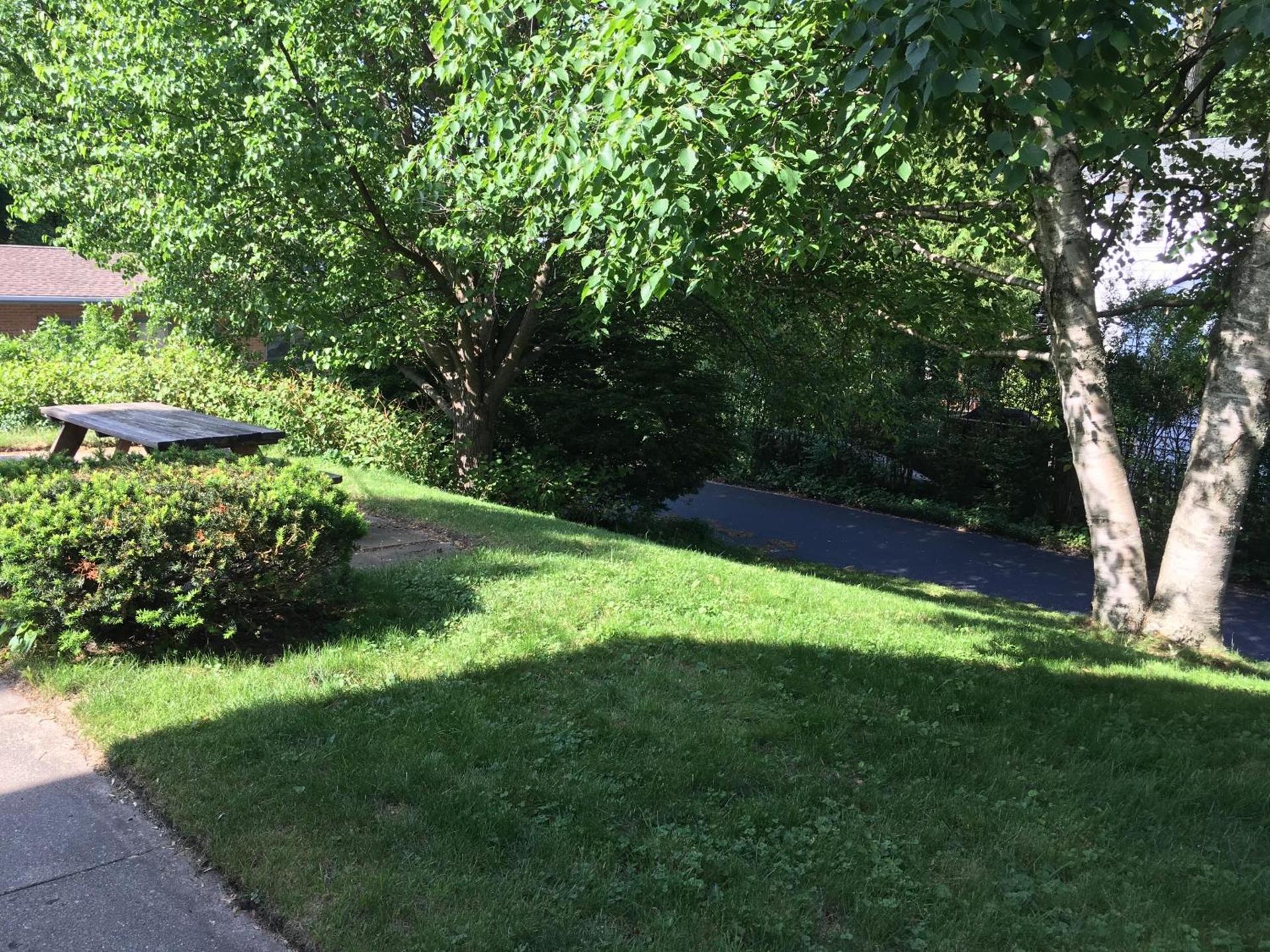 Ludington Blue Spruce Inn photo 13