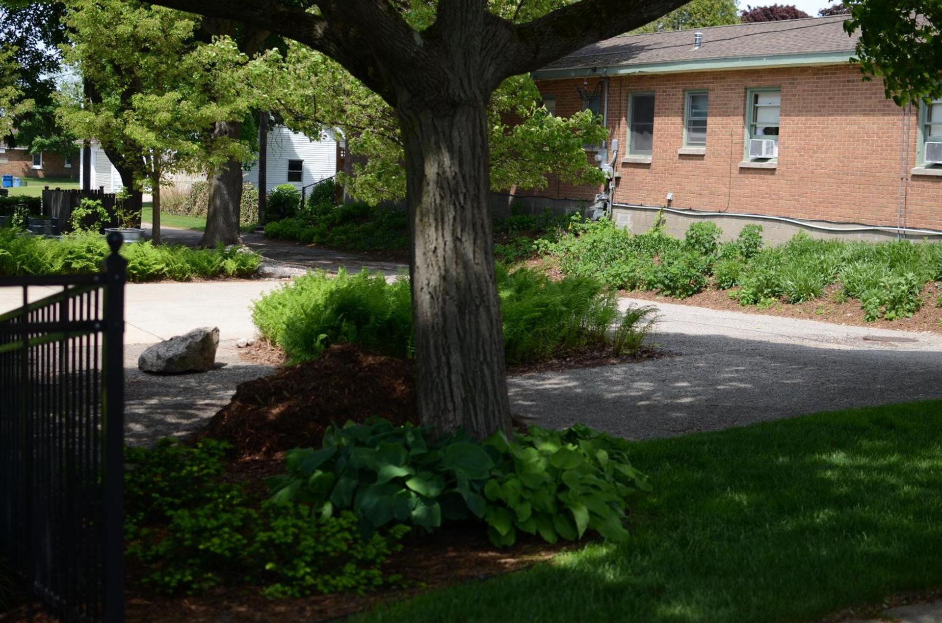 Ludington Blue Spruce Inn photo 18