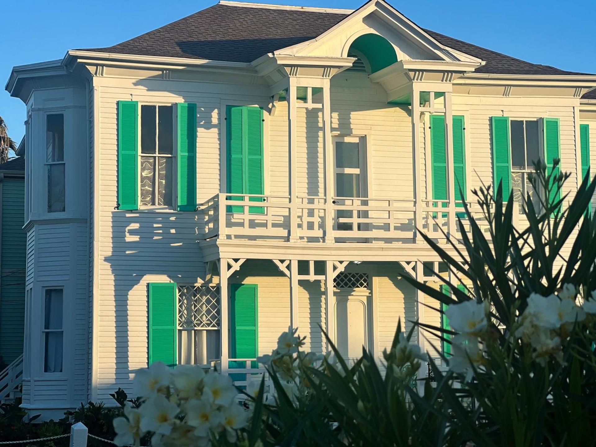 Lotus Galveston photo 1