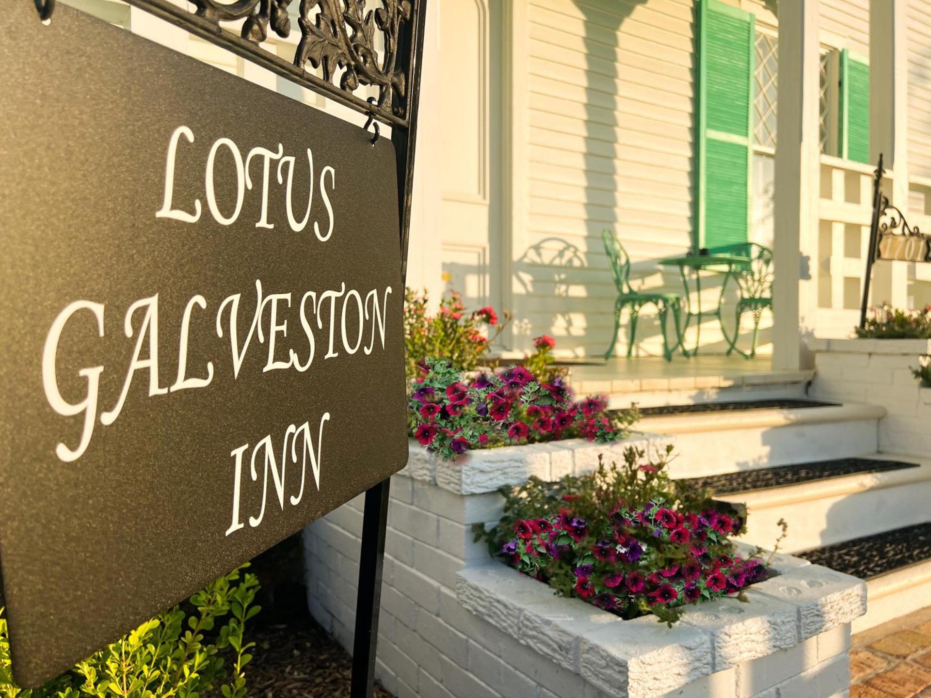 Lotus Galveston photo 27