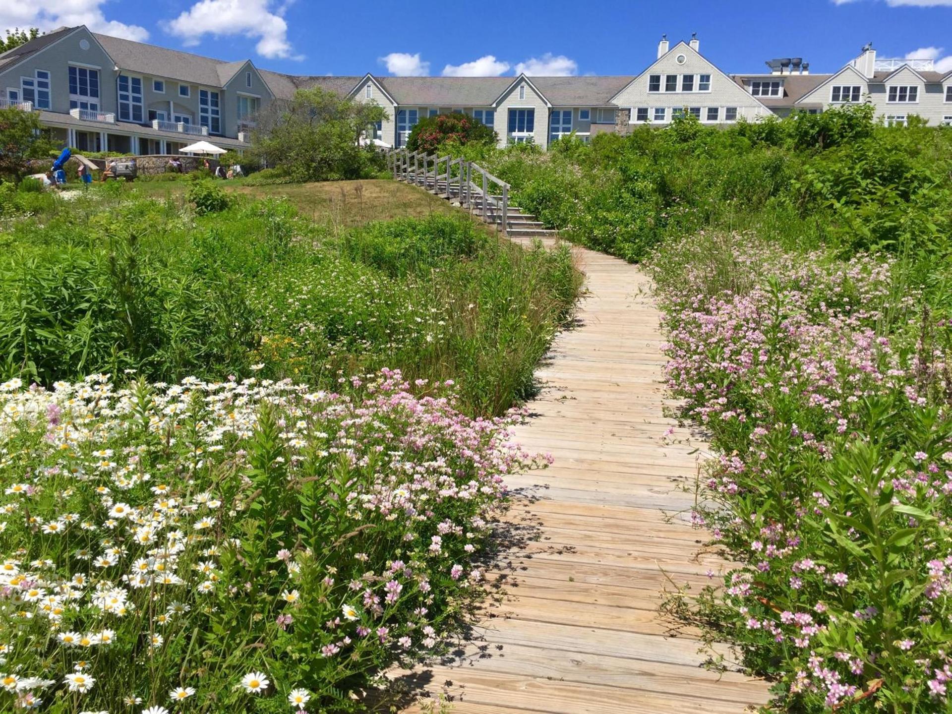 Inn By the Sea photo 36