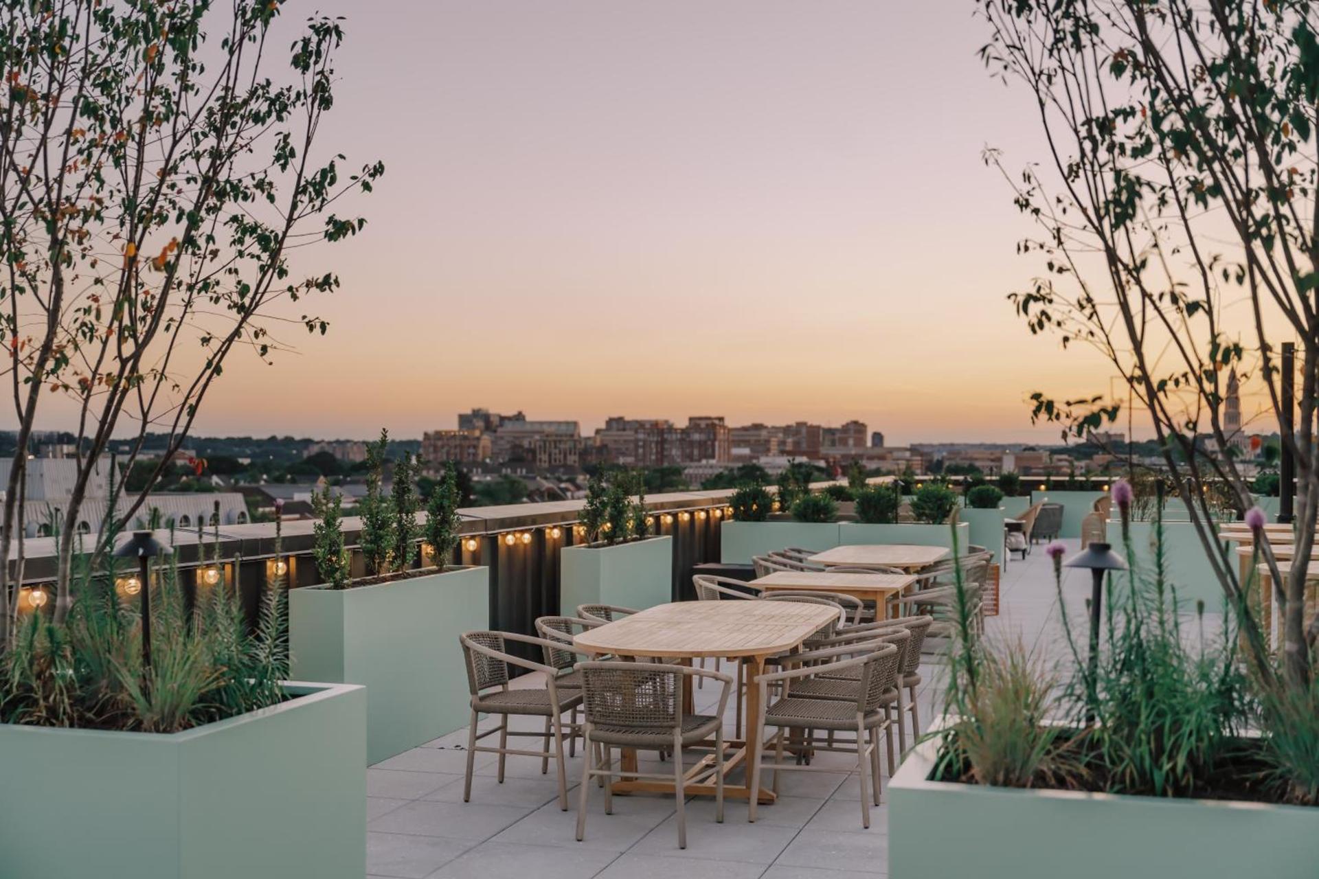 Hotel Heron Alexandria Old Town, Curio Collection by Hilton photo 60