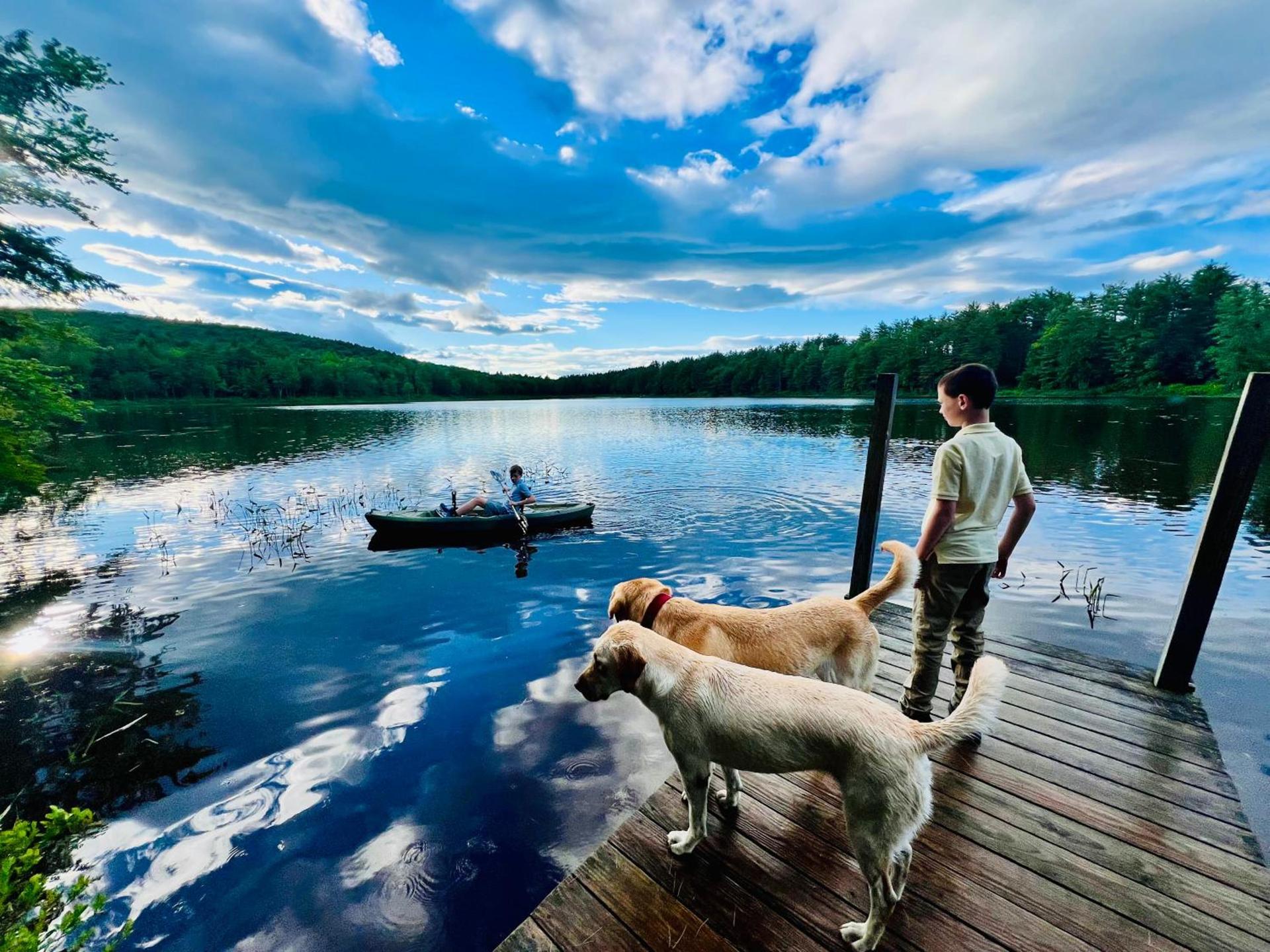 Camp Sweden photo 2