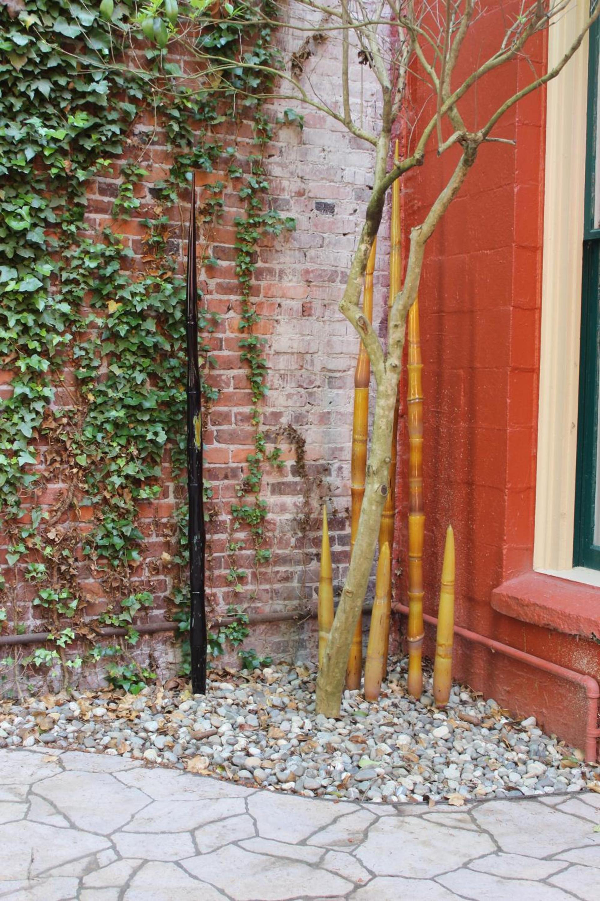 Hotel Planter photo 78