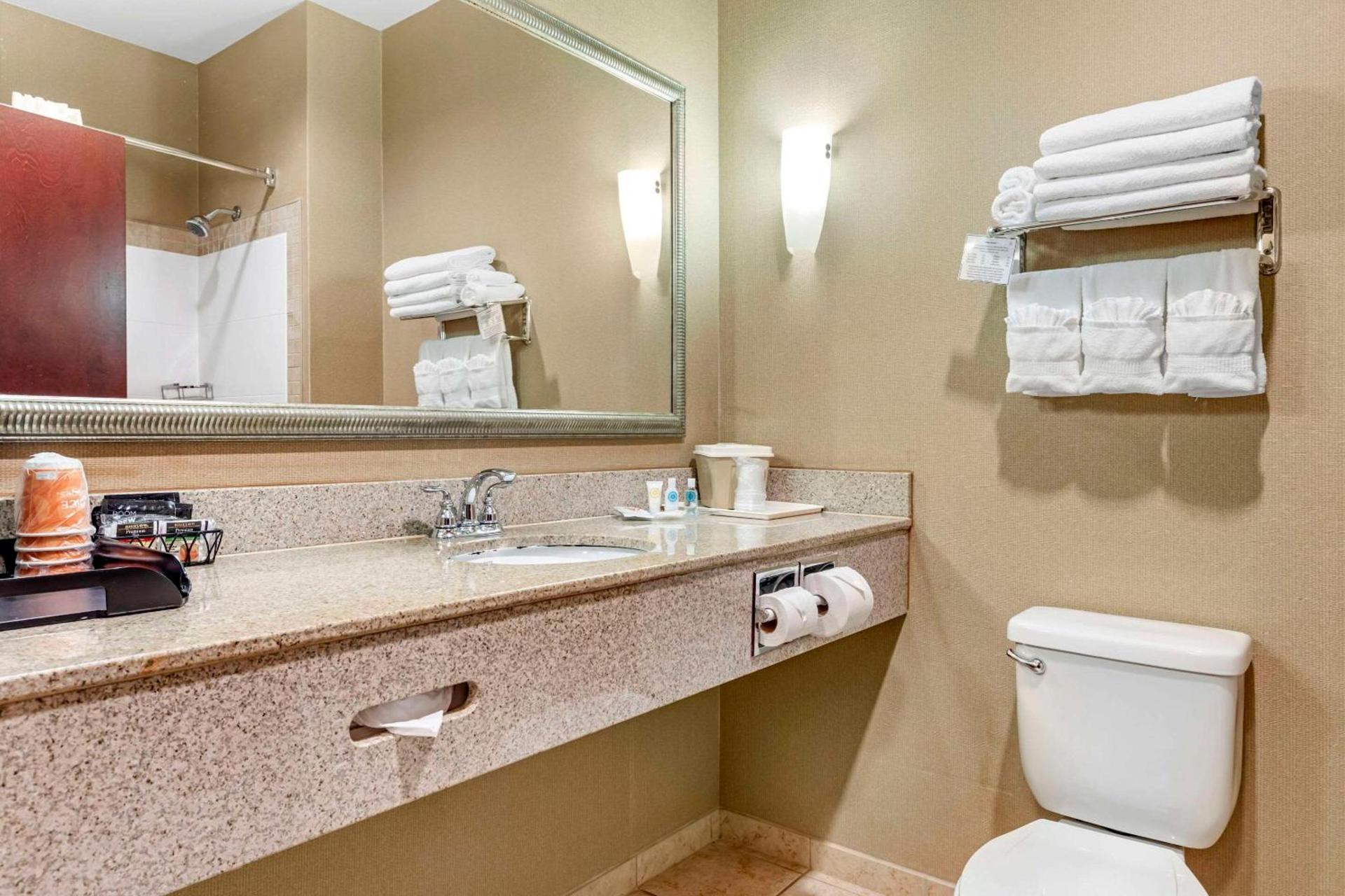 Comfort Suites Palestine photo 11