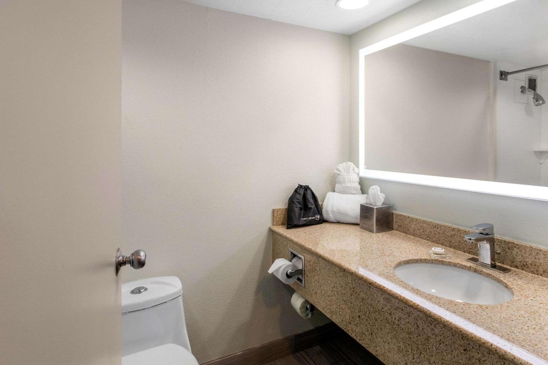 Radisson Hotel Grand Rapids Riverfront photo 40