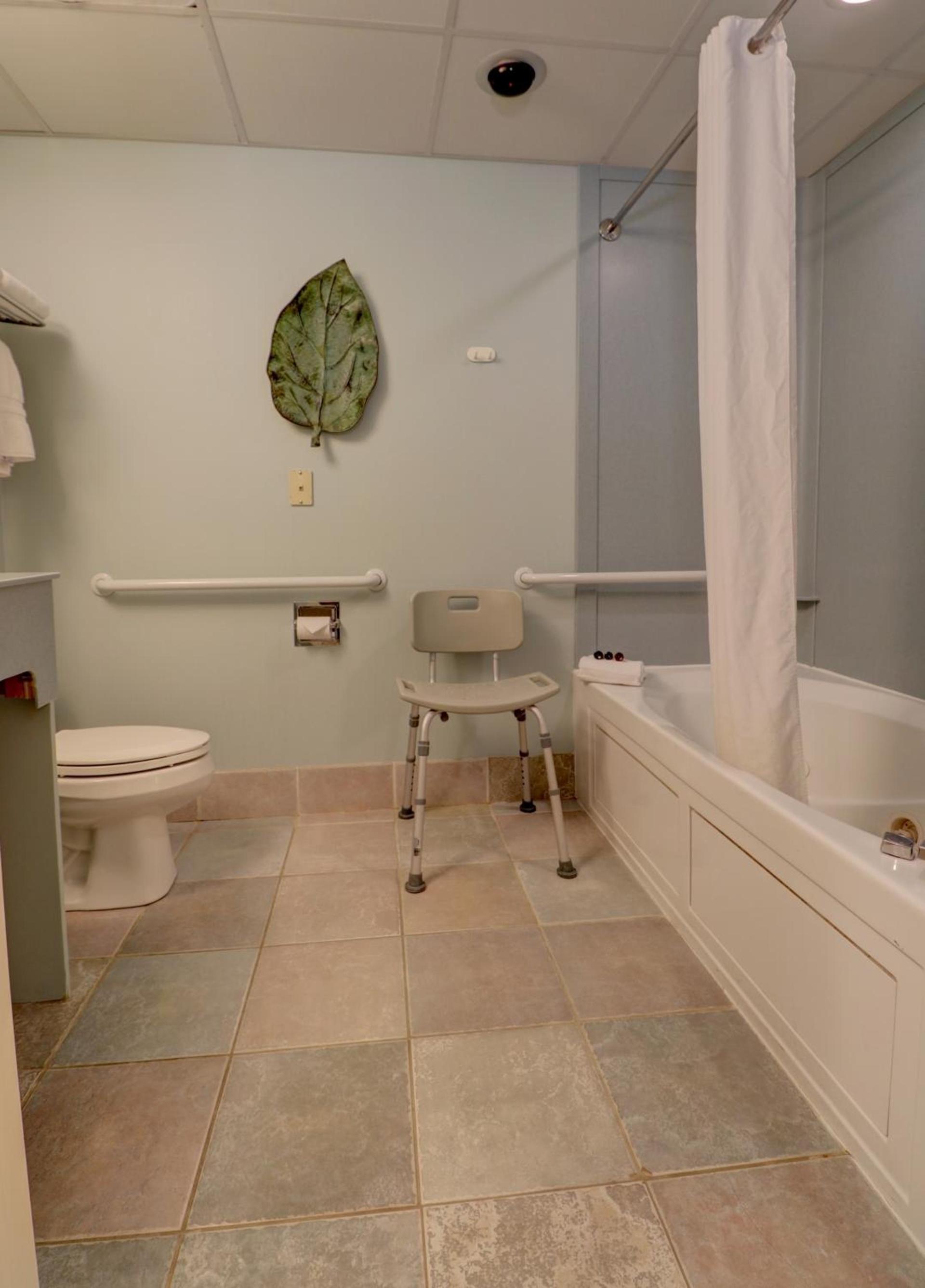 Senator Inn & Spa photo 53