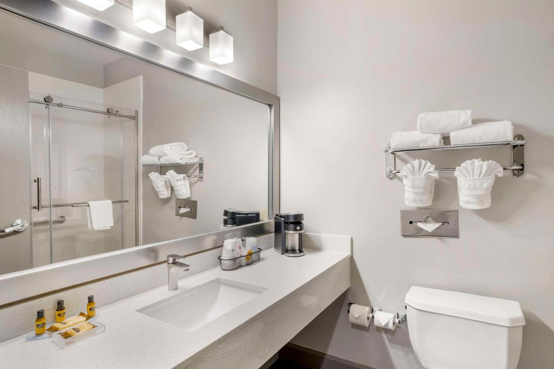 Best Western Plus Hobby Airport Inn & Suites photo 9
