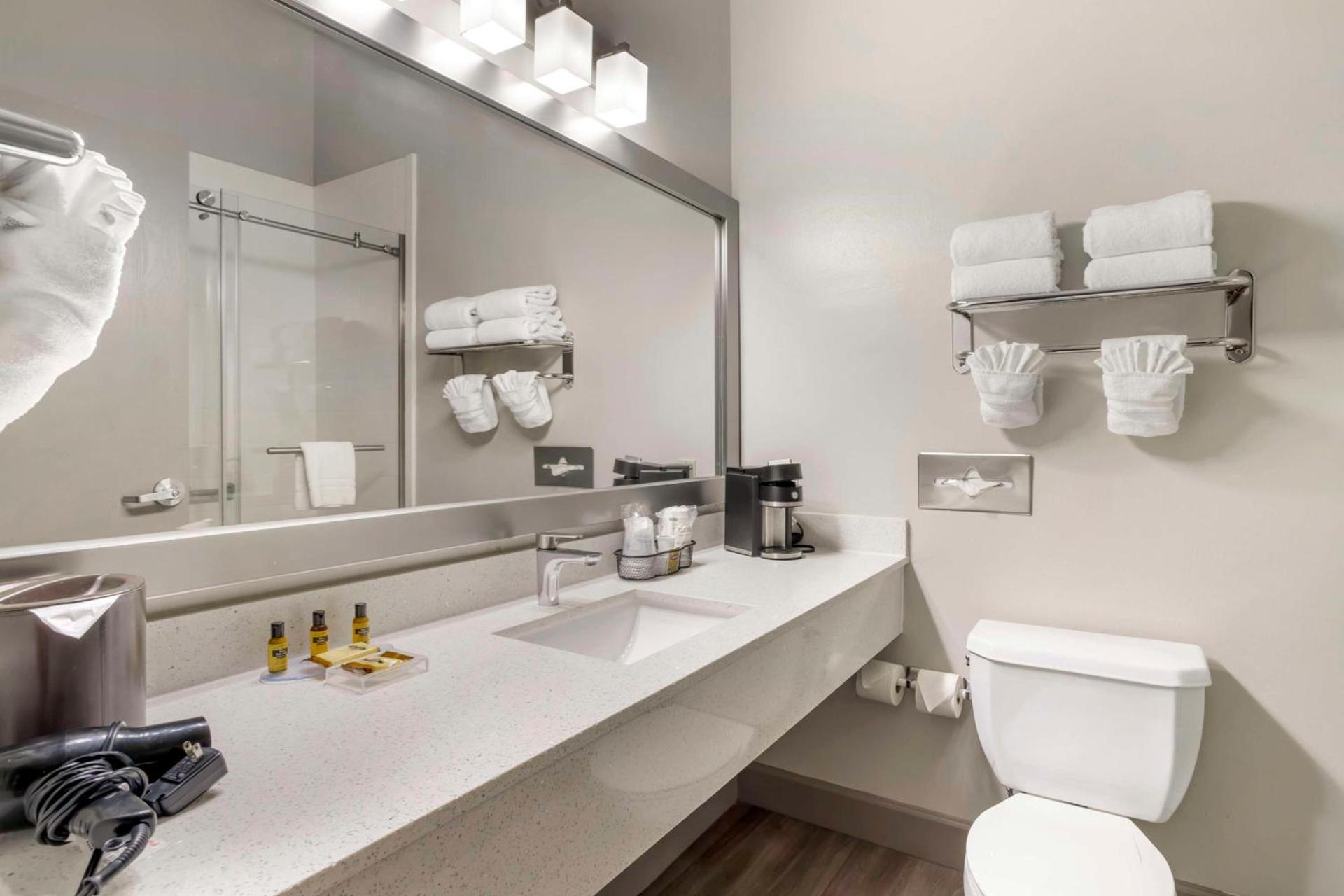 Best Western Plus Hobby Airport Inn & Suites photo 12