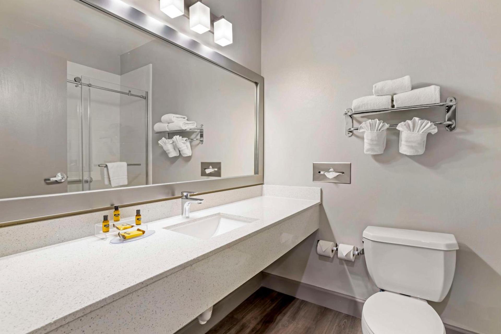 Best Western Plus Hobby Airport Inn & Suites photo 15
