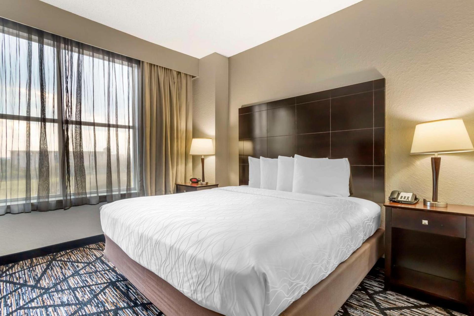 Best Western Plus Hobby Airport Inn & Suites photo 18