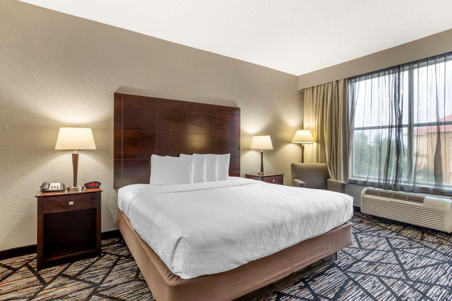 Best Western Plus Hobby Airport Inn & Suites photo 21