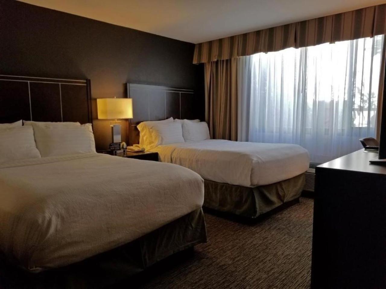 Holiday Inn Hotel & Suites Anaheim by IHG photo 6