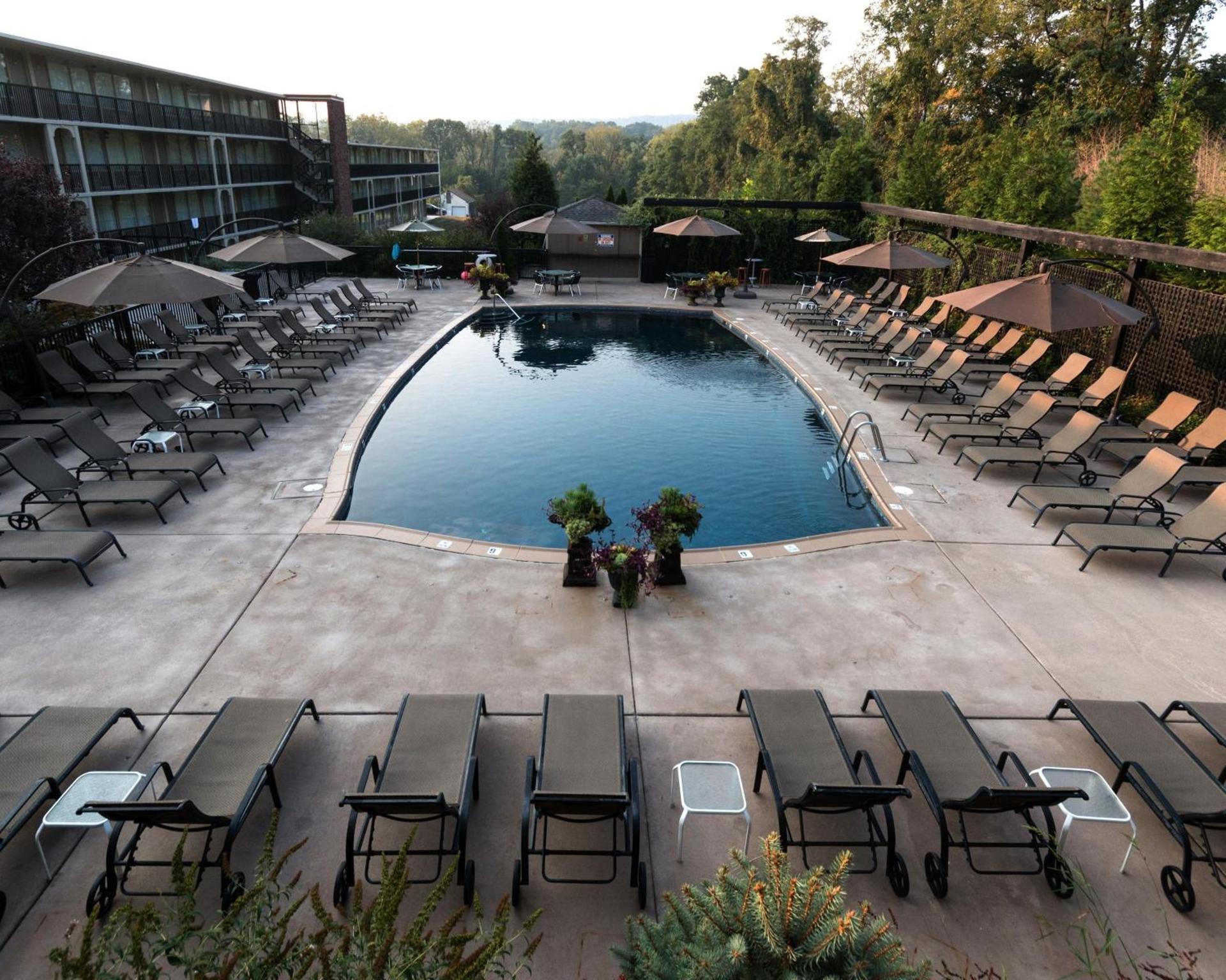 New Hope Inn & Suites photo 6