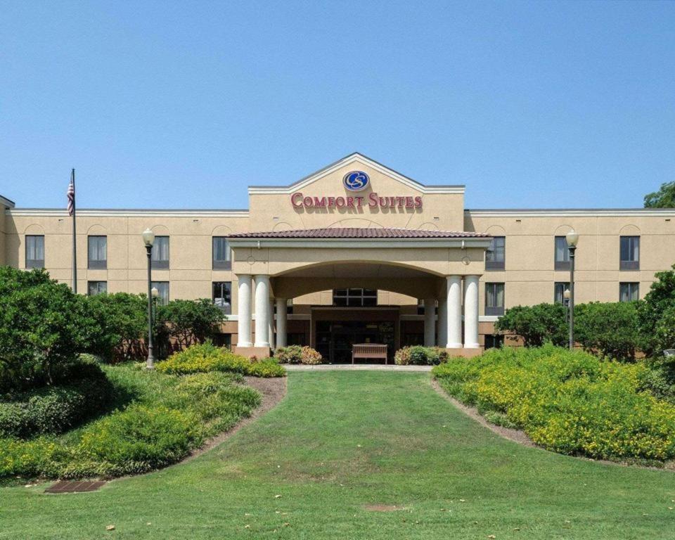 Comfort Suites photo 8