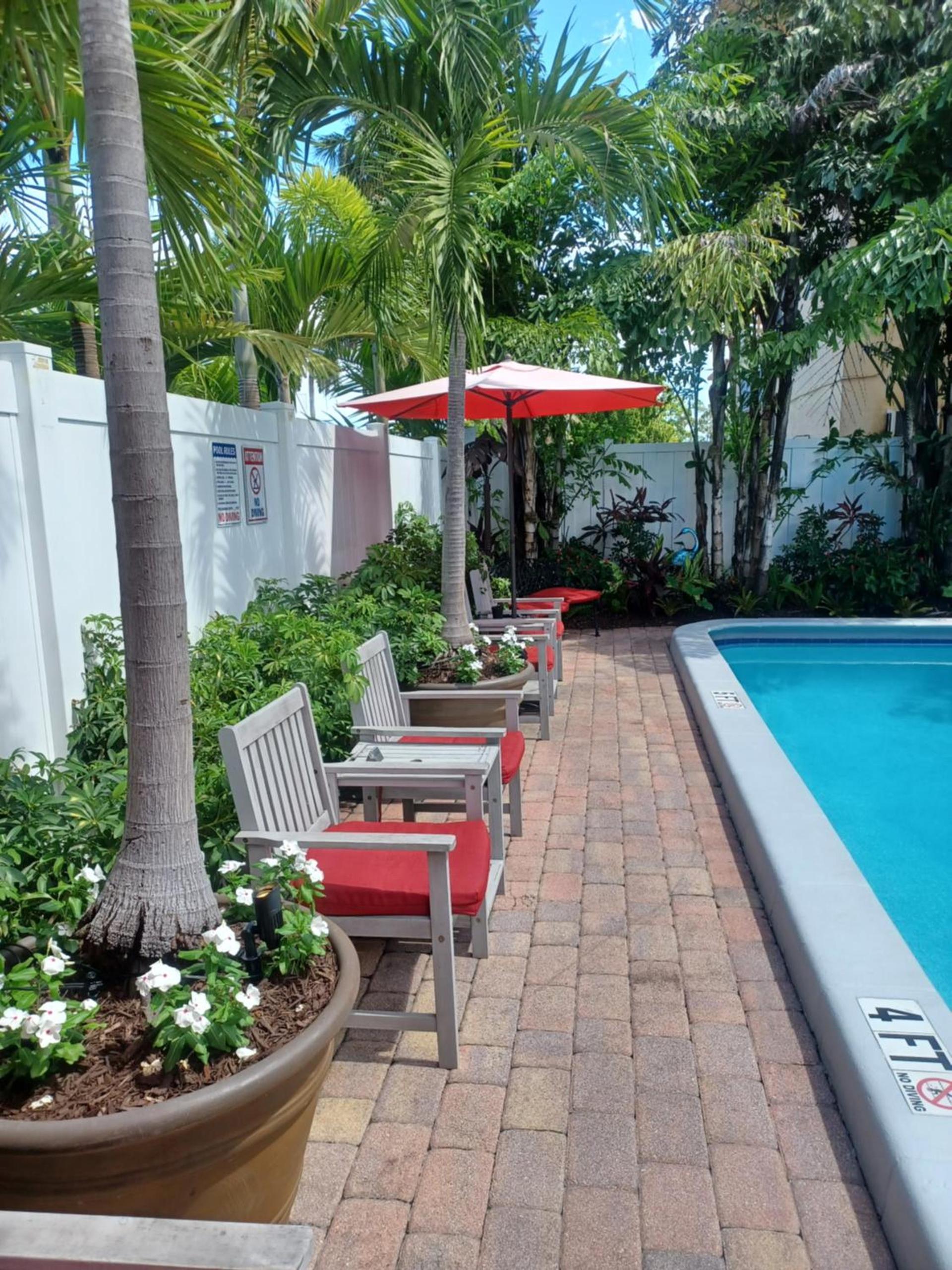 The Big Coconut Guesthouse - Gay Men's Resort photo 23