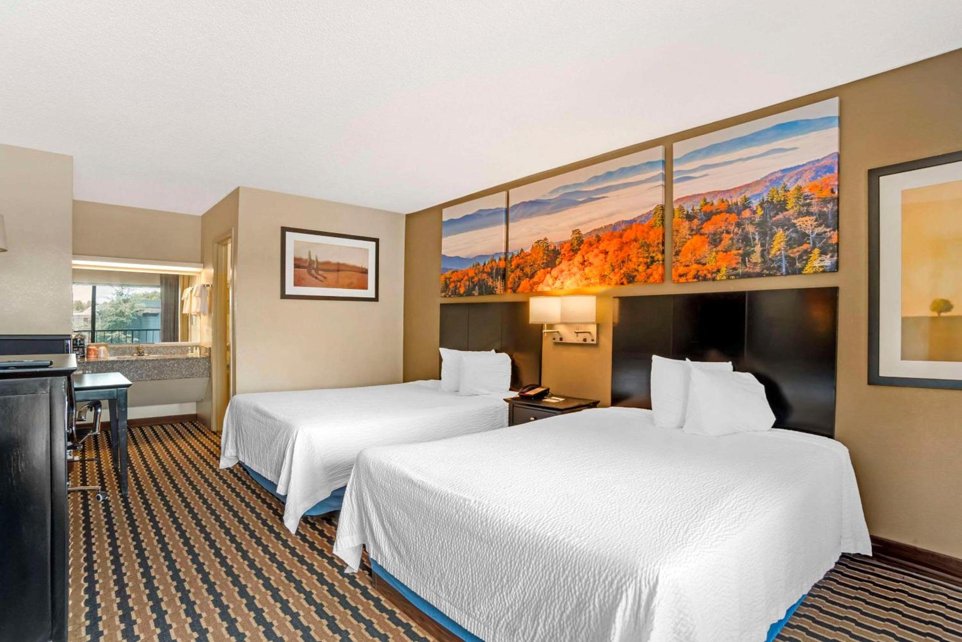 Quality Inn near Speedway photo 10