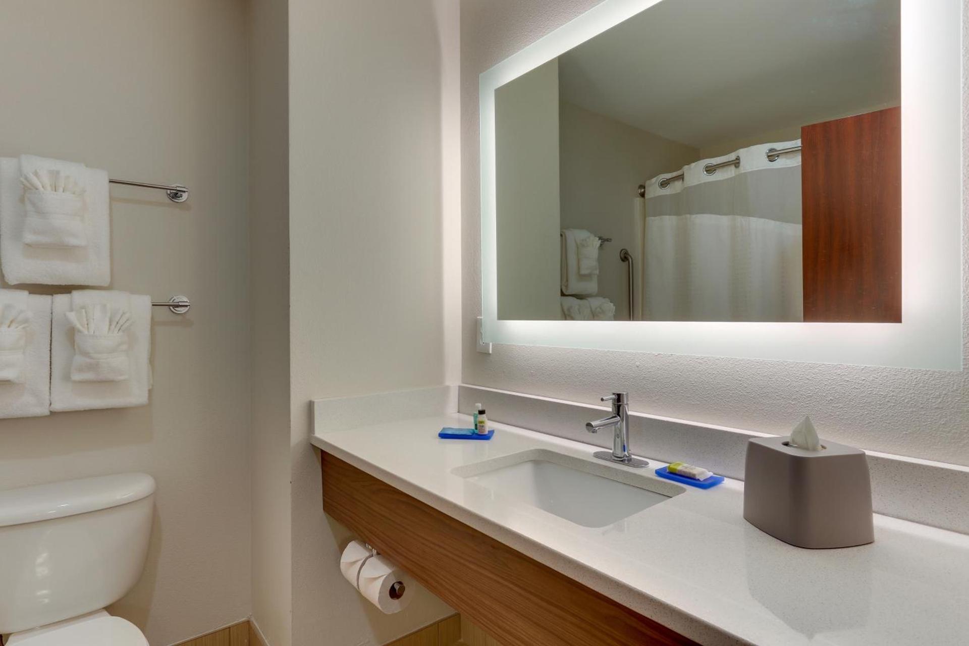 Holiday Inn Express Hotel & Suites Dayton-Centerville by IHG photo 3