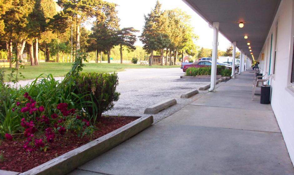 Hyland Motor Inn photo 7
