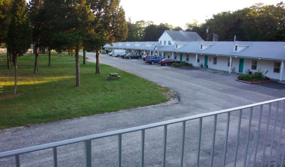Hyland Motor Inn photo 6