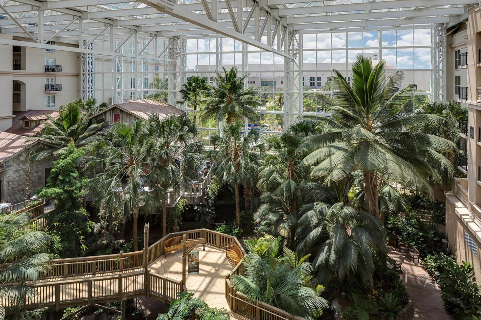 Gaylord Palms Resort & Convention Center photo 19