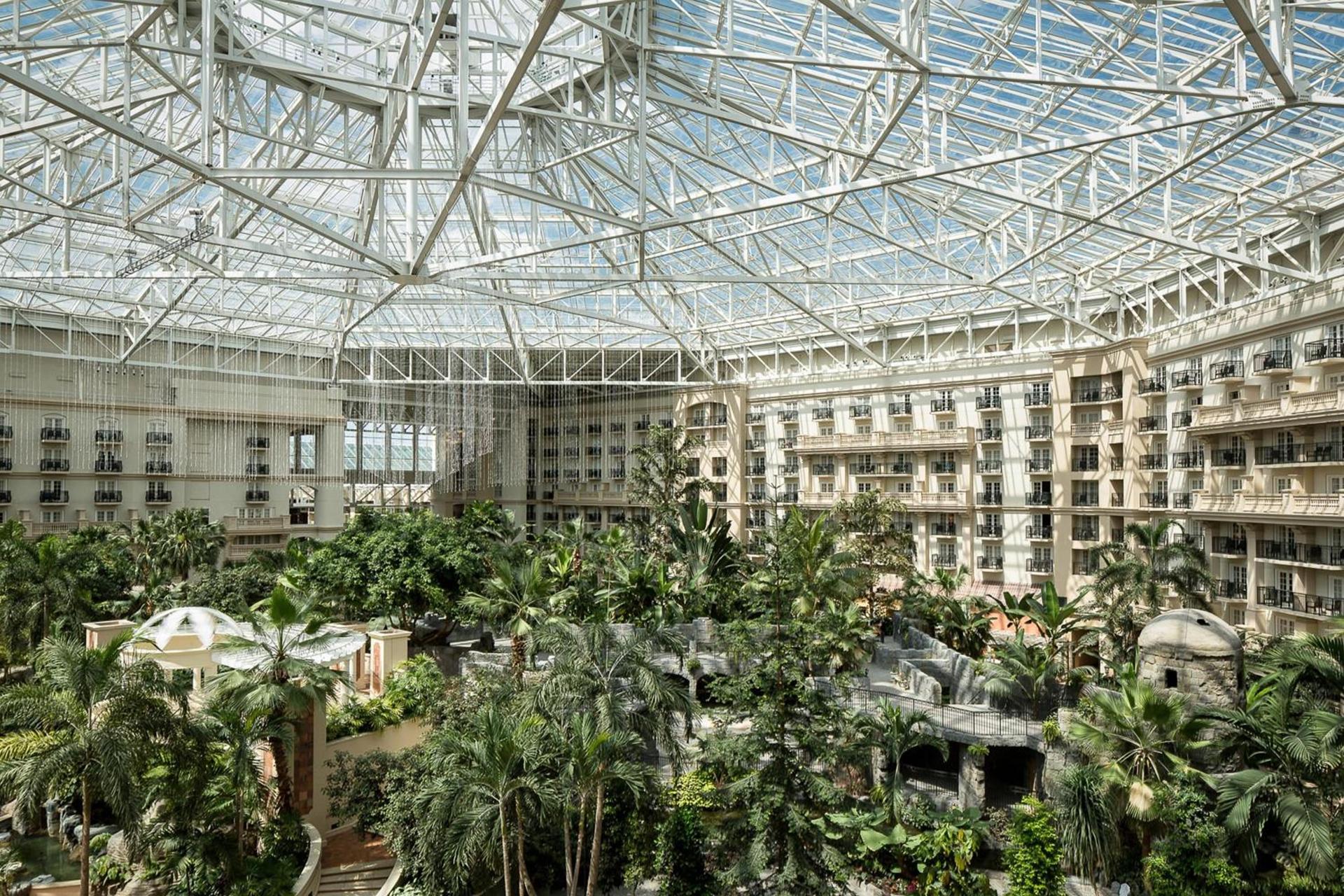 Gaylord Palms Resort & Convention Center photo 20