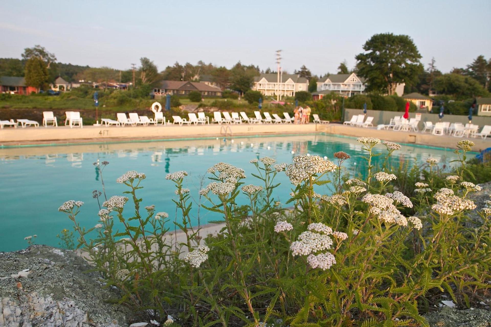 Sebasco Harbor Resort & Golf Club photo 34