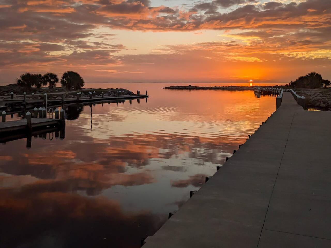 The Intracoastal photo 13